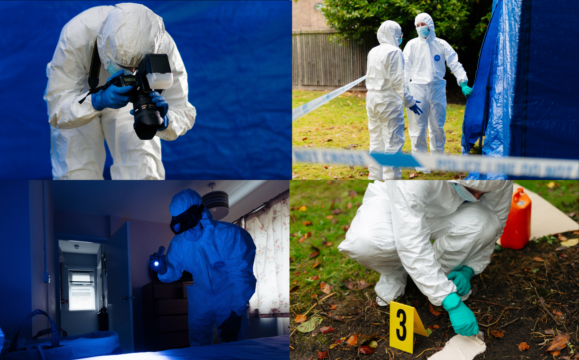 Collage of CSIs in action