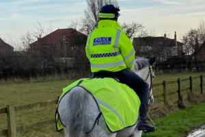 Photo of Community Safety Mounted Volunteer on horseback