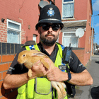 Scunthorpe NPT officers - animal news