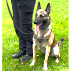 A day in the life of transferee Dog Handler Andrea and her PD Raf