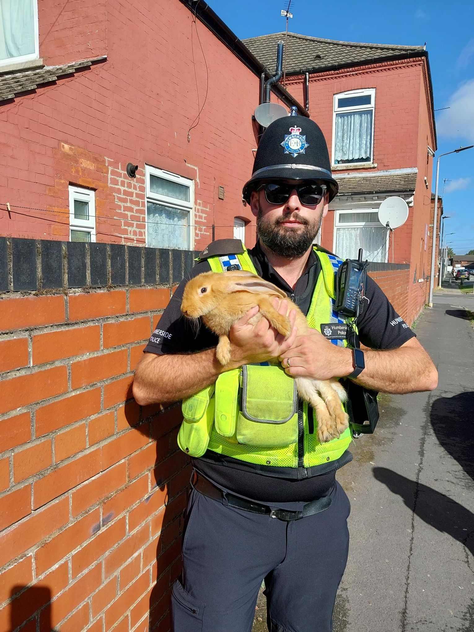 Photo of Scunthorpe Town Neighbourhood Policing officer holding bunny