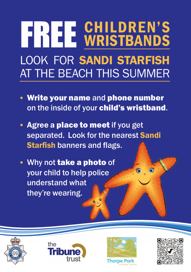 Sandi Starfish