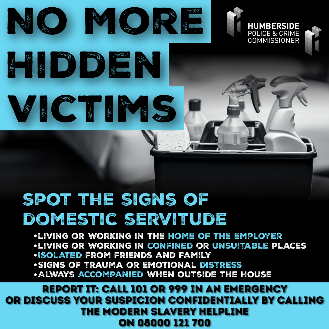 Domestic servitude graphic