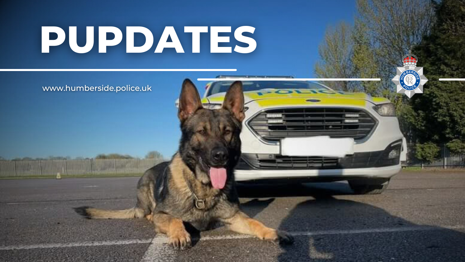 Image of Police Dog
