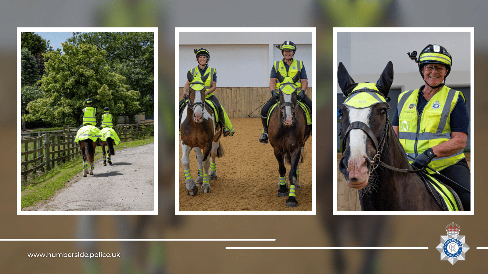 mounted volunteers